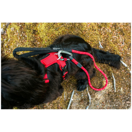 Hundegeschirr Mountain Paws Dog Harness