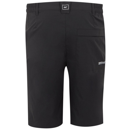 Herrenshorts Regatta Highton Shorts Long II