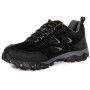 Herrenschuhe Regatta Holcombe IEP Low