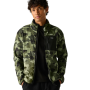 Herren Funktions-Sweatshirt Regatta Frankie Full Zip Fleece