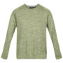 Herren-T-Shirt Regatta Burlow hellgrün Bright Kiwi