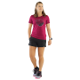 Damen-T-Shirt Dynafit Artist Series Co T-Shirt W