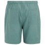 Herrenshorts Regatta Hadlin Shorts