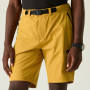 Herrenshorts Dare 2b Tuned In Pro II Short