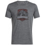 Herren-T-Shirt Icebreaker Mens Tech Lite SS Crewe Everest Crest grau GritstoneHthr
