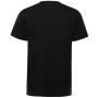 Herren-T-Shirt Alpine Pro Bolen 2