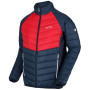Herrenjacke Regatta Halton IV