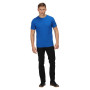 Herren-T-Shirt Regatta Prestyn