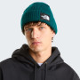 Mütze The North Face Salty Lined Beanie
