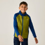 Kinderjacke Regatta Boys Trekktain 3-in-1 II AvBlu/GldCyp