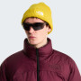 Mütze The North Face Salty Lined Beanie
