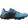 Herrenschuhe Salomon Wildcross 2 Gore-Tex