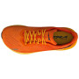 Herren Laufschuhe Altra Altrafwd Experience