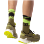 Herren Laufschuhe Dynafit Ultra 100 V3 GTX