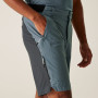 Herrenshorts Regatta Eldes Shorts