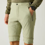 Herrenhose Regatta Mountain Z/O Trousers