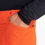 Herrenshorts Dare 2b Tuned In II Short 2023