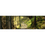 Sonnenbrille Julbo Aero SP3 CF