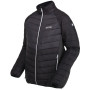 Herrenjacke Regatta Halton IV