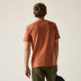 Herren-T-Shirt Regatta Cline IX
