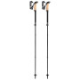 Trekkingstöcke Leki Black Series FX Carbon