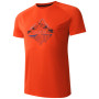 Herren-T-Shirt Dare 2b Tech II Tee