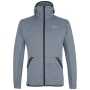 Herren-Sweatshirt Salewa Solid Logo Dry M FZ HDY grau/schwarz FlintStoneMelange