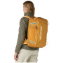Rucksack Patagonia Black Hole Mini MLC