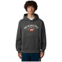 Herren-Sweatshirt The North Face M Hoodie Varsity Graphic