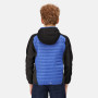 Kinderjacke Regatta Kielder Hybrid V 2021