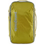 Rucksack Patagonia Black Hole Mini MLC grün Shrub Green