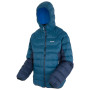 Herrenjacke Regatta Hooded Dalent