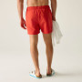 Herrenbadeanzug Regatta Mawson Swim Shorts III