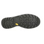 Herrenschuhe Lowa Renegade Evo Gtx Mid