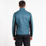 Herrenweste Dare 2b Gendarme Wool Vest