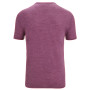 Herren-Funktionsshirt Icebreaker Sphere II SS Tee Trail
