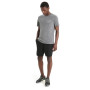 Herren-Funktionsshirt Icebreaker Tech Lite II SS Tee Mountain Sunset