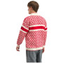 Herrenpullover Dale of Norway Cortina 2026 Masc. Sweater