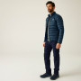 Herrenjacke Regatta Marizion