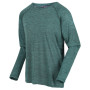 Herren-T-Shirt Regatta Burlow dunkelgrün PacificGreen