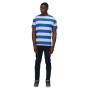 Herren-T-Shirt Regatta Brayden