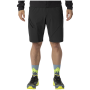 Herrenshorts Dynafit Traverse Hybrid Shorts M