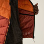 Herrenjacke Regatta Hooded Dalent