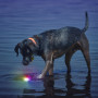 Hundespielzeug Nite Ize Glowstreak LED Ball