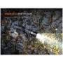 Taschenlampe Fenix PD35R ACE