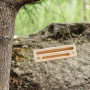 Klettergriffe YY VERTICAL Travel Board