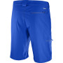 Herrenshorts Salomon Wayfarer LT Short M