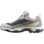 Damenschuhe Salomon X Ultra 5 Gore-Tex