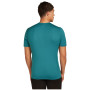 Herren-T-Shirt Icebreaker Mens 200 Oasis SS Crewe