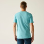 Herren-T-Shirt Regatta Cline IX